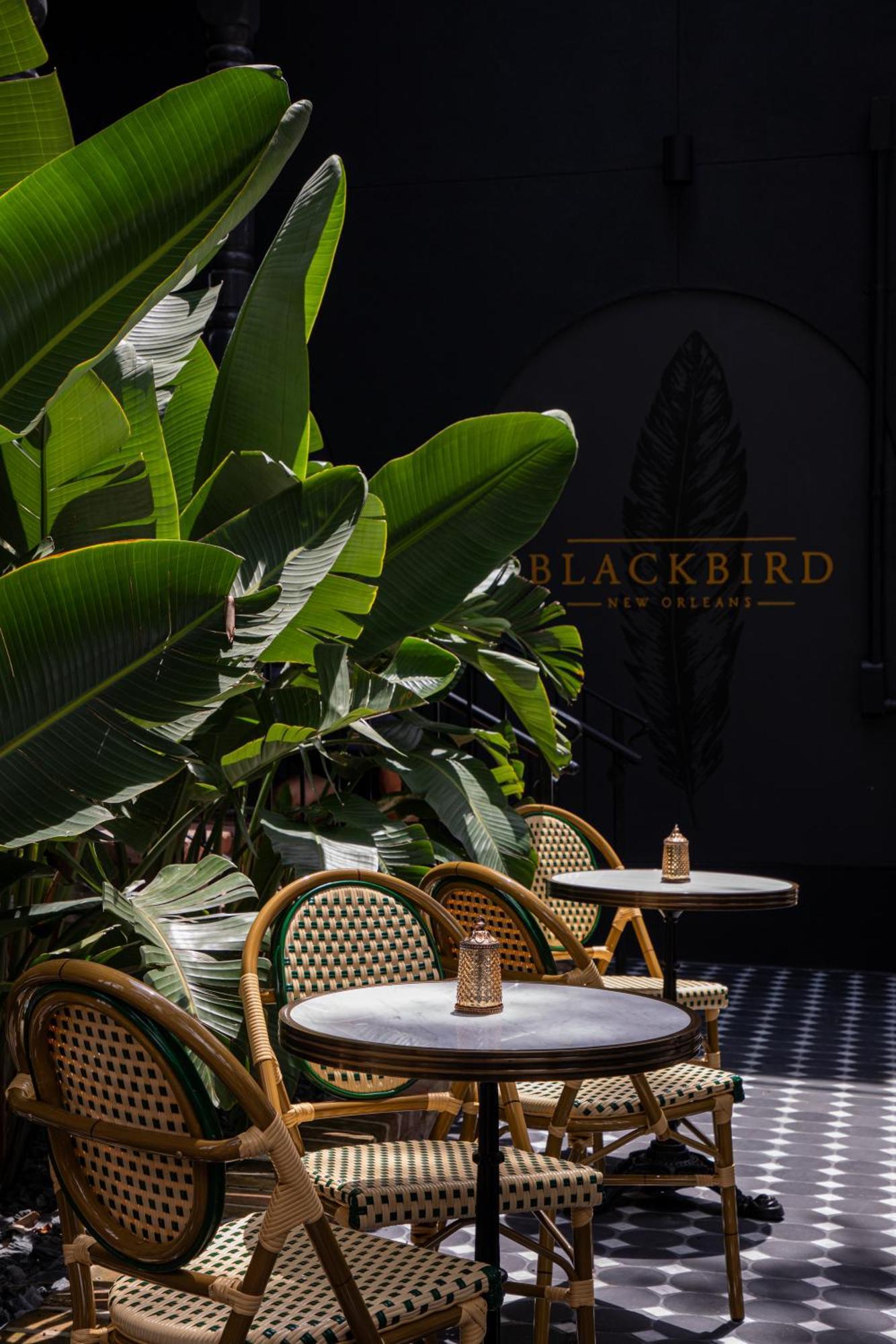 Blackbird Hotel New Orleans Luaran gambar