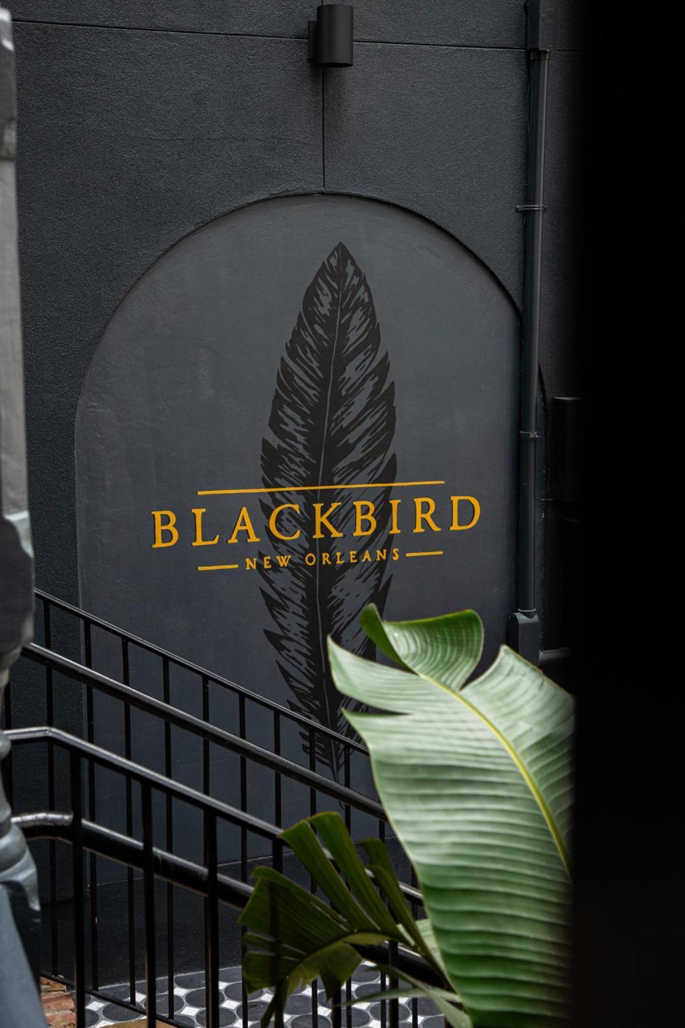 Blackbird Hotel New Orleans Luaran gambar
