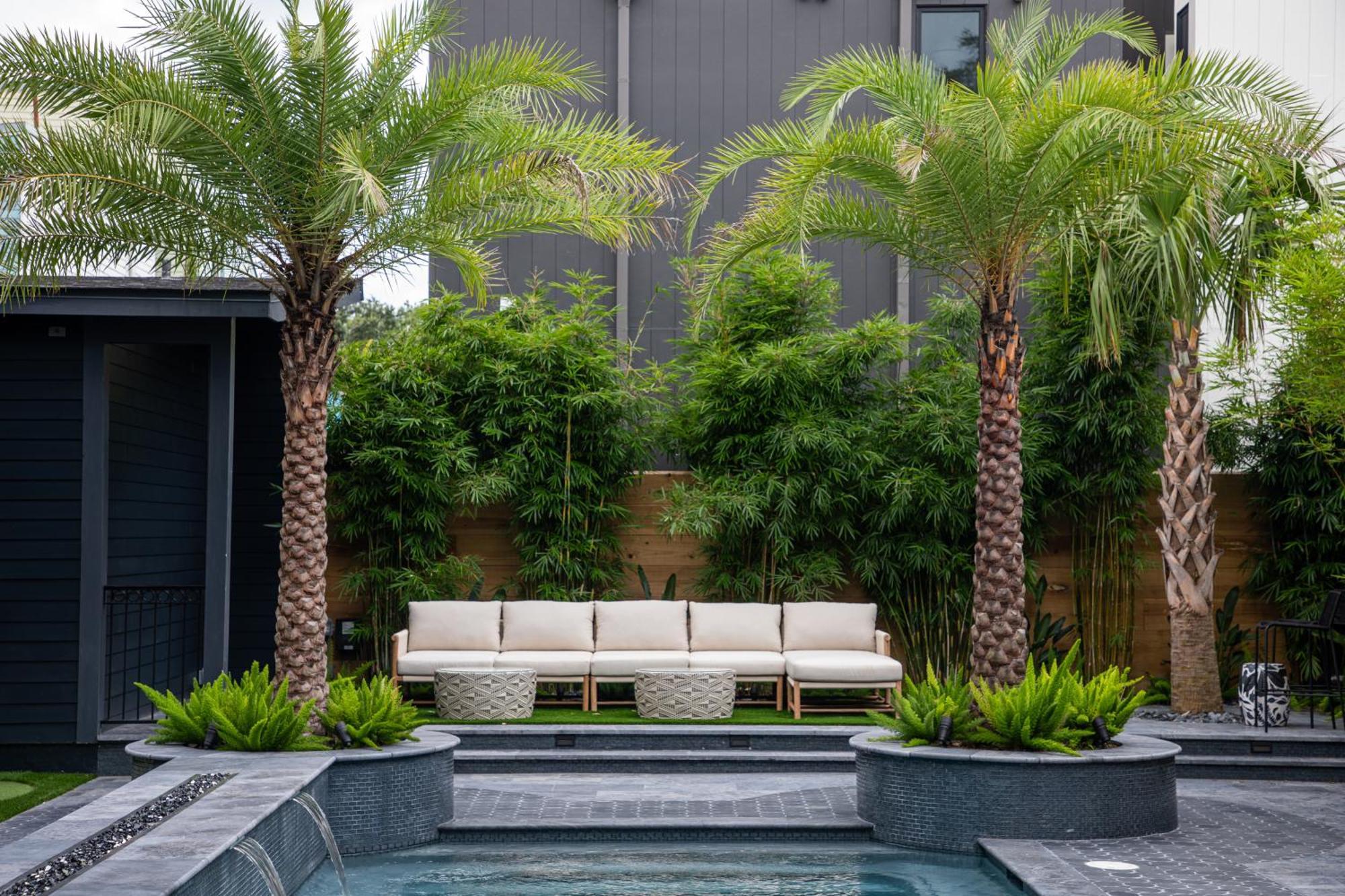 Blackbird Hotel New Orleans Luaran gambar