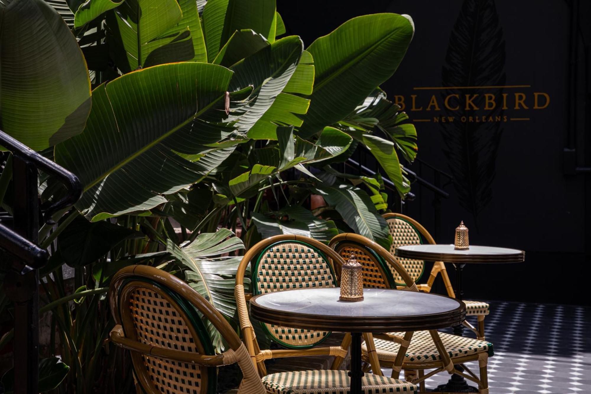 Blackbird Hotel New Orleans Luaran gambar